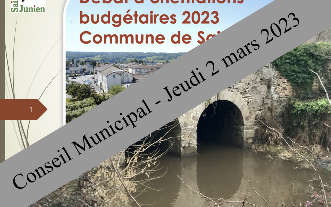 Réunions du Conseil Municipal du 2 mars 2023